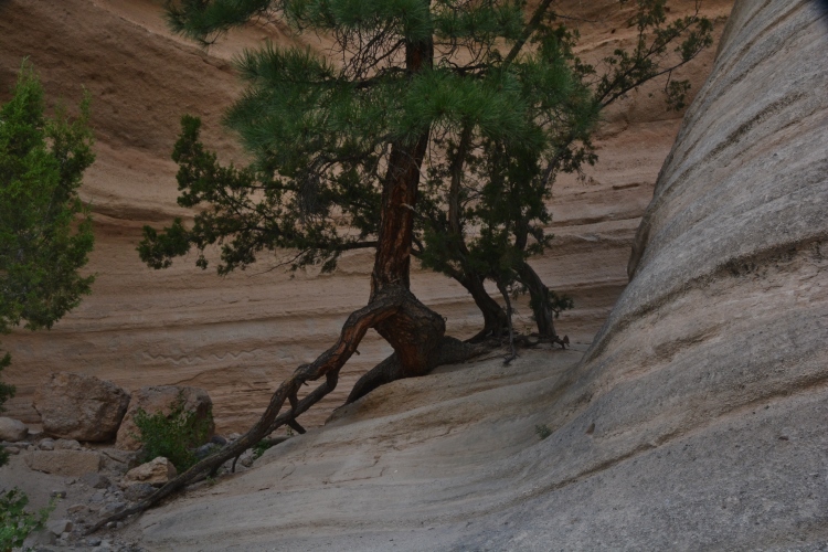 tent rocks slot